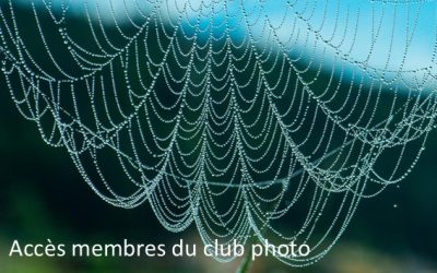 Protégé : Accès membres club photo
